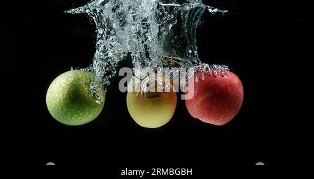 Äpfel, Malus domestica, Früchte, die vor schwarzem Hintergrund ins Wasser gelangen Stockfoto