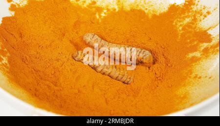 Kurkuma, Kurkuma longa, Wurzel fällt auf Kurkuma Pulver, indische Gewürze Stockfoto