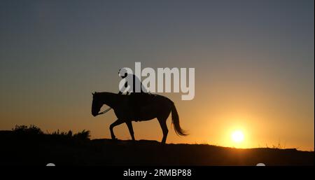 Mann auf seinem Camargue Horse, das Gallops bei Sunrise, Manadier in Saintes Marie de la Mer in Camargue, in Südfrankreich, Kuhjunge Stockfoto