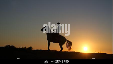 Mann auf seinem Camargue Horse, das Gallops bei Sunrise, Manadier in Saintes Marie de la Mer in Camargue, in Südfrankreich, Kuhjunge Stockfoto