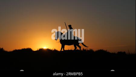 Mann auf seinem Camargue Horse, das Gallops bei Sunrise, Manadier in Saintes Marie de la Mer in Camargue, in Südfrankreich, Kuhjunge Stockfoto