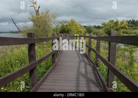 Hölzerner Rundgang über Feuchtgebieten an einem stürmischen Tag mit dem Versprechen des Regens Stockfoto