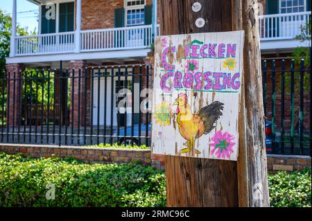 NEW ORLEANS, LA, USA - 25. AUGUST 2023: Nahaufnahme des handbemalten „Chicken Crossing“-Schilds auf der Versorgungsmaste in St.. Andrew's Chalstrom Pfarrhaus Stockfoto