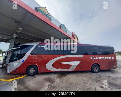 Sao Sebastiao da Bela Vista, Minas Gerais, Brasilien - 20. August 2023: Gardenia-Bus am Haltepunkt am Tag Stockfoto