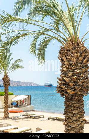 Palme und ein Frachtschiff im Golf von Aqaba Stockfoto