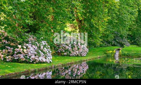 Im Sommer blühende Sträucher und Seen auf dem Gelände von St. Fagans Castle, Cardiff Stockfoto