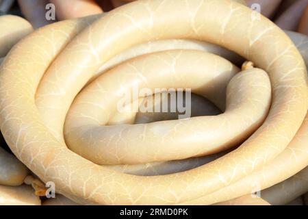 Eine Art von Features Snacks, Nahaufnahme der Delikatesse. Außen ist die Hülle, die interne ist das Fleisch, sehr gute lokale Snacks. Stockfoto