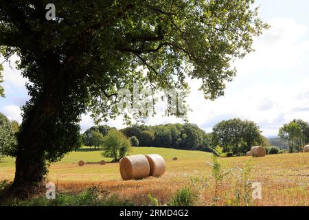 Landwirtschaft, Natur, Umweltschutz, tourismus und Ruralité. Paysage de campagne du Limousin vu depuis la Route. Corrèze, Limousin, Frankreich, Europa Stockfoto