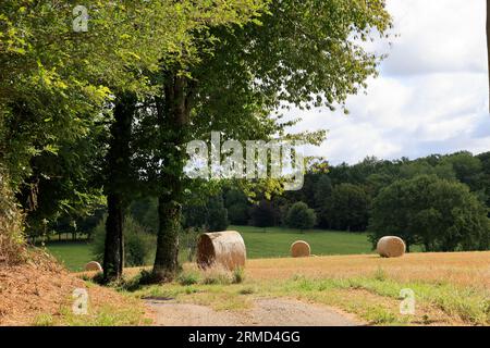 Landwirtschaft, Natur, Umweltschutz, tourismus und Ruralité. Paysage de campagne du Limousin vu depuis la Route. Corrèze, Limousin, Frankreich, Europa Stockfoto