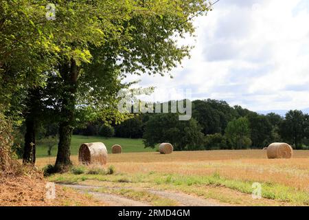 Landwirtschaft, Natur, Umweltschutz, tourismus und Ruralité. Paysage de campagne du Limousin vu depuis la Route. Corrèze, Limousin, Frankreich, Europa Stockfoto