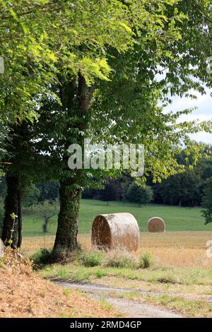 Landwirtschaft, Natur, Umweltschutz, tourismus und Ruralité. Paysage de campagne du Limousin vu depuis la Route. Corrèze, Limousin, Frankreich, Europa Stockfoto