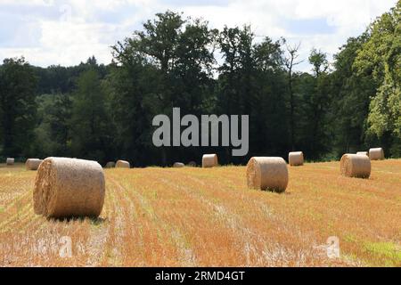 Landwirtschaft, Natur, Umweltschutz, tourismus und Ruralité. Paysage de campagne du Limousin vu depuis la Route. Corrèze, Limousin, Frankreich, Europa Stockfoto