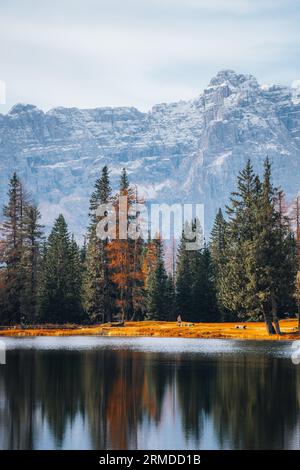 Herbstliche bunte Bäume und Blätter am Lago di Antorno in Dolomiten Italien Stockfoto