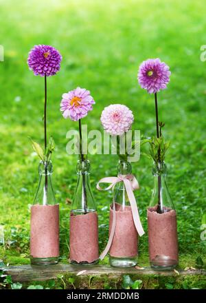 Blumenarrangement mit rosa, magentafarbenen, rosa, violetten Dahlienblüten in Glasflaschen vor unscharfem Hintergrund im Cottage garten Stockfoto