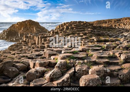Blick aus nächster Nähe auf Steinformationen am Giants Causeway am Abend, Nordirland. Stockfoto