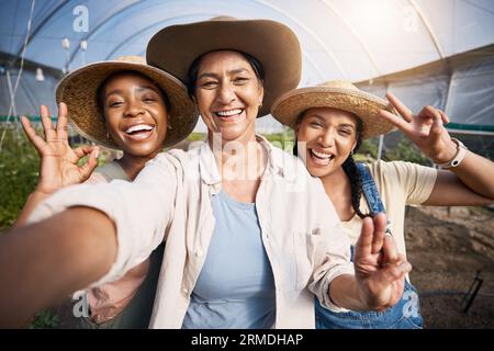 Gartenbau, Selfie von Frauengruppen im Gewächshaus und nachhaltiges Kleinunternehmen in der Landwirtschaft. Glückliches Bauernteam auf der Gemüsefarm, Fotografie und Stockfoto