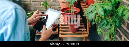 Frau, die ein digitales Tablet berührt, während sie die Pflanzen des urbanen Gartens auf der Terrasse pflegt Stockfoto