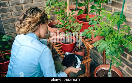 Frau, die ein digitales Tablet benutzt, während sie die Pflanzen des städtischen Gartens auf der Terrasse pflegt Stockfoto