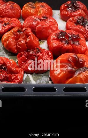 Gerösteter roter Pimento-süßer Pfeffer - rumänische Sorte „gogosari“ isoliert auf Holzuntergrund. Capsicum annuum. Vegetarisches Essen. Nahaufnahme. Stockfoto