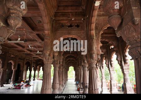 INDIEN, MADHYA PRADESH, INDORE, Juni 2023, geschnitzte Säulen im Inneren des Krishnapura Chhatris, auch bekannt als Krishna Pura Chhatris, erbaut Mitte 19 Stockfoto