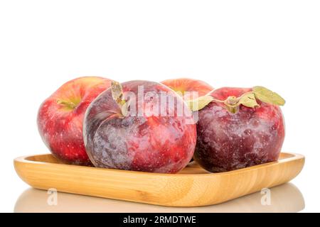 Vier süße saftige rote Äpfel auf einem Bambustablett, Makro, isoliert auf weißem Hintergrund. Stockfoto