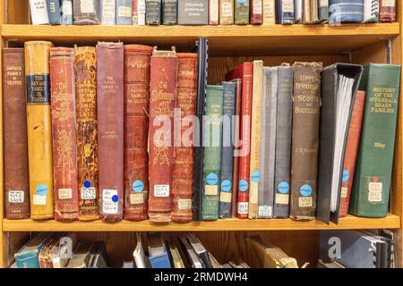 Bücherregale, Linen Hall Library, Belfast, Nordirland, UK Stockfoto