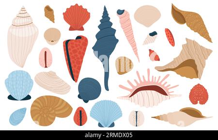 Muscheln. Bunte Meeresmuscheln, Meeresmuscheln, Jakobsmuscheln und Muscheln, Strandurlaub im Sommer im flachen Design. Vektor-isoliertes Set Stock Vektor