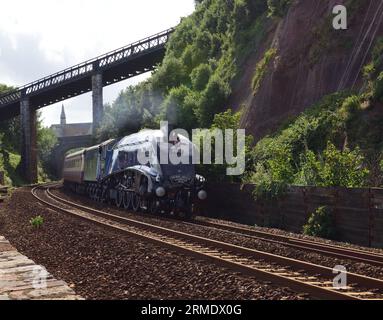 LNER Klasse A4 Pacific No 60007 Sir Nigel Gresley durchquert Teignmouth mit der Rückfahrt des English Riviera Express. Stockfoto