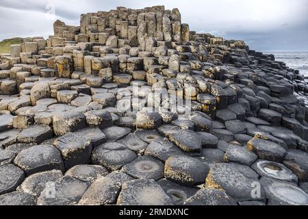 Giant Causeway, Basaltsäulen, Causeway Coastal Path, County Antrim, Nordirland, UK - regnerischer Tag Stockfoto