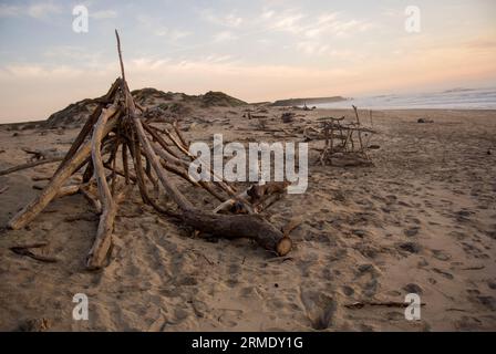 Unterstände aus Treibholz an einem mit Treibholz bedeckten Strand. Stockfoto