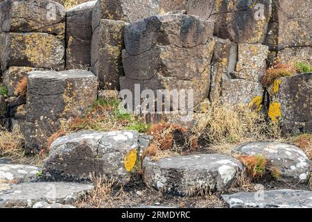 Giant Causeway, Basaltsäulen, Causeway Coastal Path, County Antrim, Nordirland, UK Stockfoto