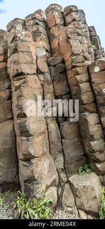 Eine Seite des Giant's Gate, Giant Causeway, Basaltsäulen, Causeway Coastal Path, County Antrim, Nordirland, Vereinigtes Königreich Stockfoto