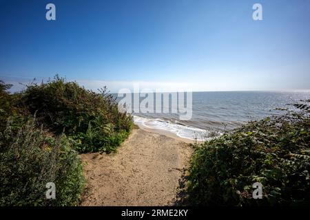 Ende der Straße Covehithe Suffolk England Stockfoto