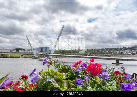 Peace Bridge, DerryLondonderry, Nordirland, Großbritannien Stockfoto