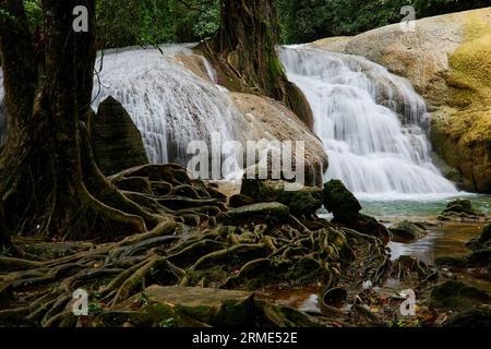 Malerische Aussicht auf Wasserfall im Wald Stockfoto