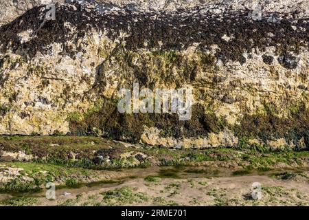 White Rocks Cliff Path, Portstewart Strand, (Strand), Portstewart, County Londonderry, Nordirland, Vereinigtes Königreich Stockfoto
