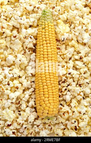 Ein Ohr aus frischem Mais auf dem Hintergrund von Popcorn Stockfoto