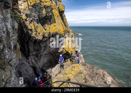 The Gobbins Cliff Path, Islandmagee, County Antrim, Nordirland, Vereinigtes Königreich Stockfoto