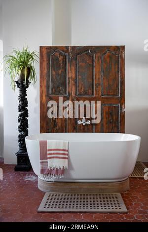 Die restaurierten Holztüren verbergen eine Dusche mit Spinnenpflanze (Chlorophytum comosum) auf einer kunstvollen Fackel im Badezimmer von Cotignac, Var, Frankreich. Stockfoto