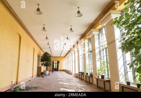 Der Botanische Garten der Universität Uppsala (Schwedisch Botaniska trädgården) in der Nähe der Burg Uppsala ist der wichtigste botanische Garten der Universität Uppsala. Im Bild: Die Orangerie im Linneanum-Gebäude. Stockfoto