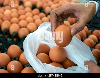 Nahaufnahme einer Frau, die Eier im Supermarkt abholt. Stockfoto