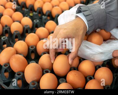 Nahaufnahme einer Frau, die Eier im Supermarkt abholt. Stockfoto