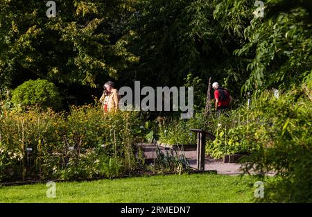 Der Botanische Garten der Universität Uppsala (Schwedisch Botaniska trädgården) in der Nähe der Burg Uppsala ist der wichtigste botanische Garten der Universität Uppsala. Stockfoto