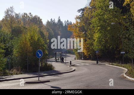 Eine leere Straße mit Bäumen an der Seite Stockfoto