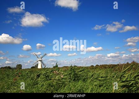 Ein Blick auf das Wahrzeichen Windmühle über Schilfbetten im Sommer auf den Norfolk Broads in Thurne, Norfolk, England, Vereinigtes Königreich. Stockfoto