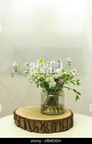 Wilde Blumen in einem Glas mit weißem Hintergrund Stockfoto