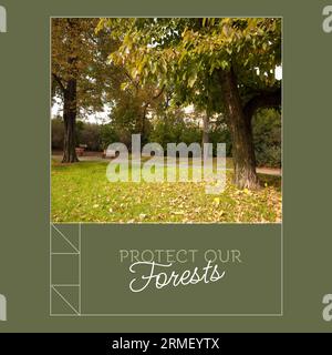 Text von Protect our Forests und malerischer, ruhiger Blick auf Bäume, die in Wäldern wachsen Stockfoto