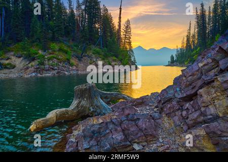 Stumpf entlang des Ufers des Hungry Horse Reservoir mit Mount Murry in der Ferne im Flathead National Forest, MT Stockfoto