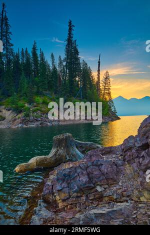 Stumpf entlang des Ufers des Hungry Horse Reservoir mit Mount Murry in der Ferne im Flathead National Forest, MT Stockfoto