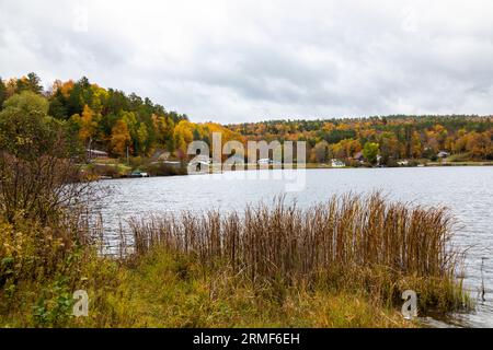 Häuser am Seeufer im Herbst, Sabin Pond, Woodbury, Vermont, USA Stockfoto